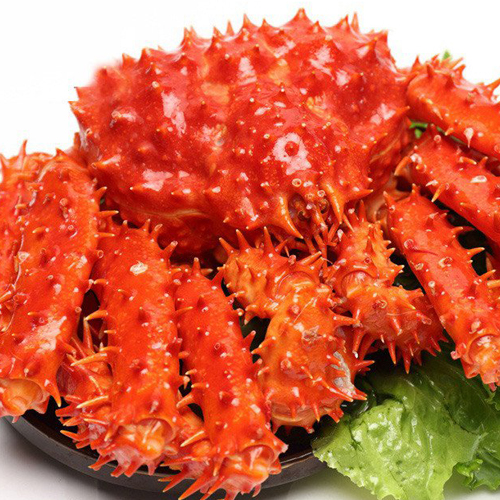 帝王蟹2.8-3.2斤 海鮮大螃蟹